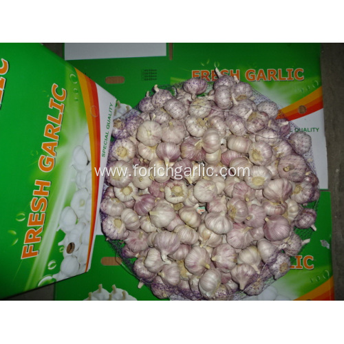 New Season Fresh 2020 Normal Garlic